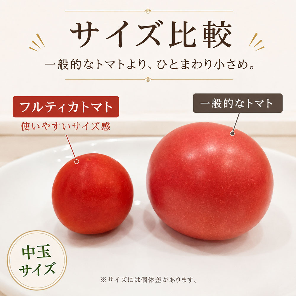 【11月発送】トマト魂！峯本の贅沢フルティカトマト（中玉サイズ）1~4kg 1~4キロ 【R01409】